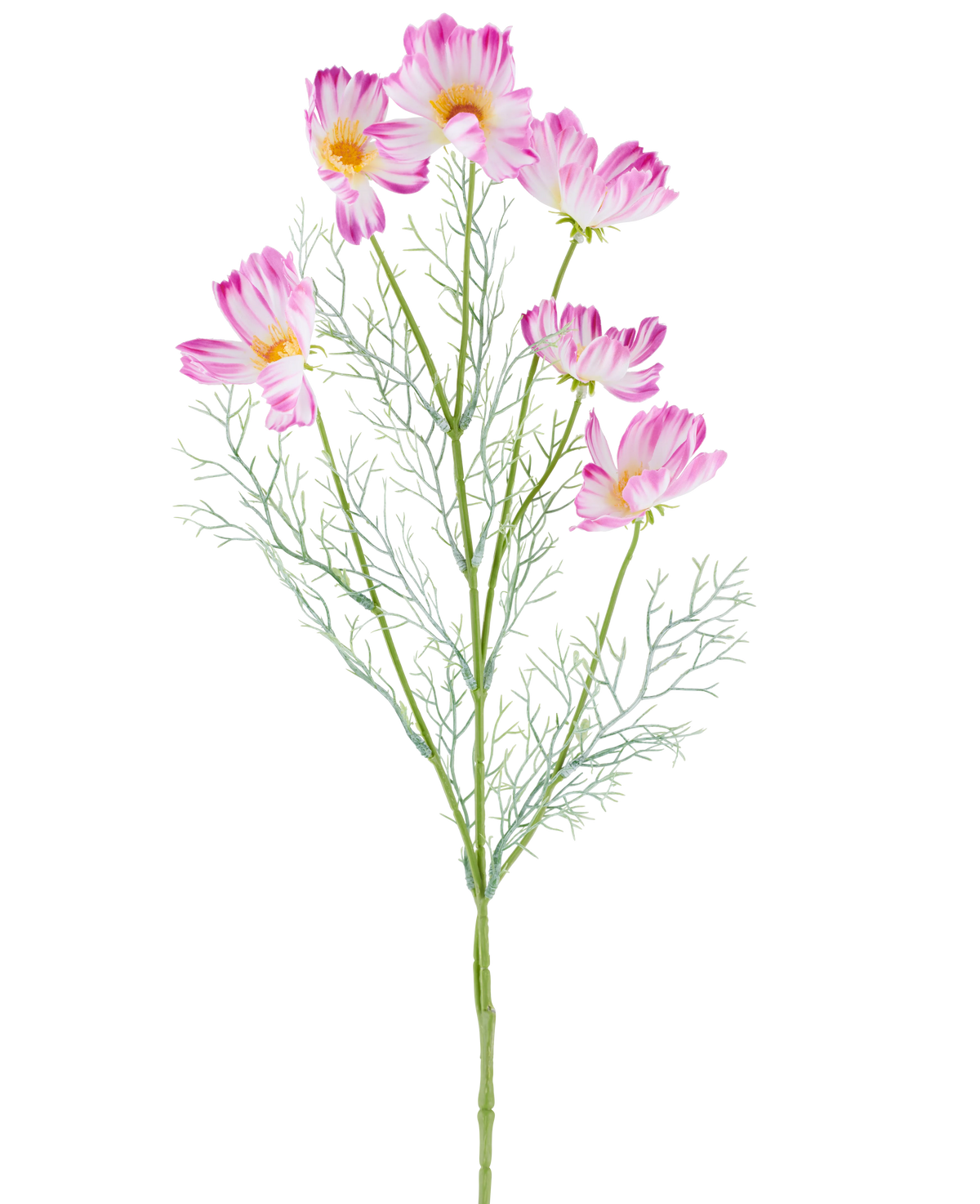 Ein 78 cm großer künstlicher Kosmos in Creme/Rosa mit mehreren hellrosa und weißen Kosmosblüten und federleichten grünen Blättern, dargestellt vor einem schlichten weißen Hintergrund.