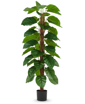 Die Kunstpflanze Epipremnum aureum 180 cm hat große, glänzend grüne Blätter, die entlang eines zentralen braunen Stiels angeordnet sind, und wird in einem kleinen schwarzen Topf geliefert, abgebildet vor einem schlichten weißen Hintergrund.