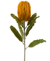 Een enkele kunstbloem van de Banksia in mosterdkleur, 65 cm groot, met een cilindrische vorm en gekartelde groene bladeren aan een lange steel, geïsoleerd tegen een witte achtergrond.