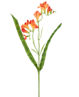 Een enkele steel van de Kunstbloem Freesia 56 cm oranje, met lange, smalle groene bladeren en meerdere oranje freesiabloemen in bloei aan de bovenkant, afgebeeld tegen een witte achtergrond.
