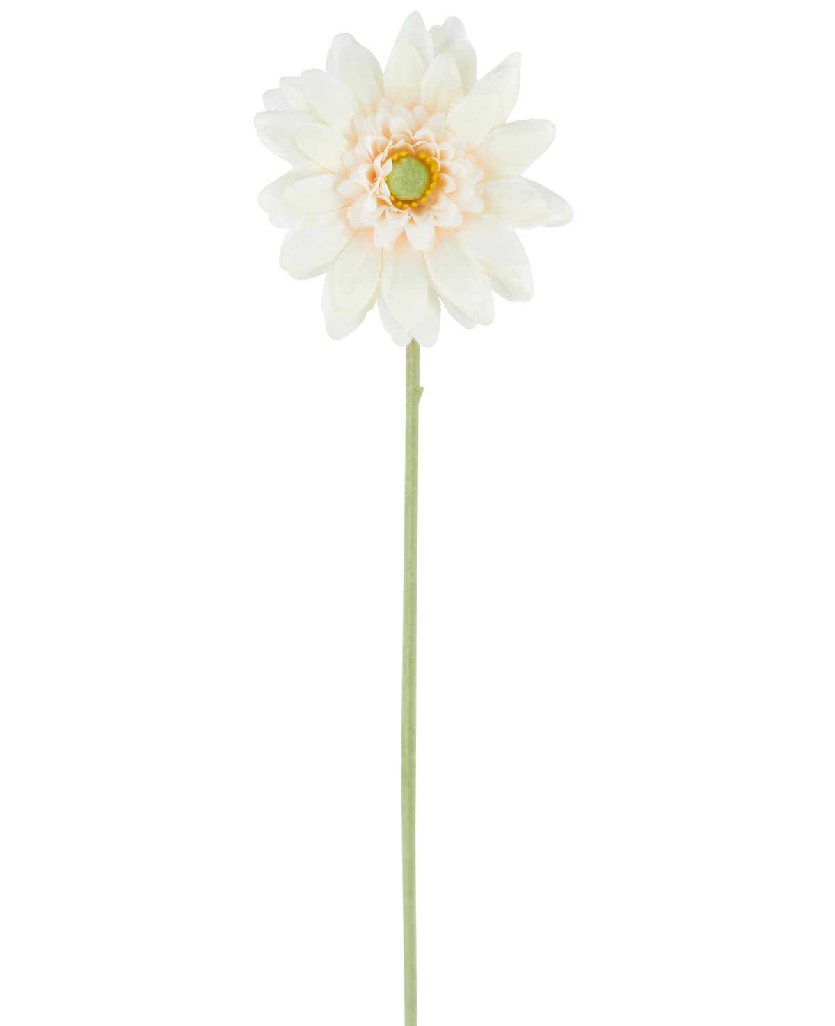 Die künstliche Blume Mini Gerbera 47 cm creme ist eine einzelne künstliche Blume in einem cremeweißen Farbton mit geschichteten Blütenblättern und einem grünen Herzen, die an einem langen, geraden grünen Stiel befestigt ist und vor einem schlichten weißen Hintergrund präsentiert wird.