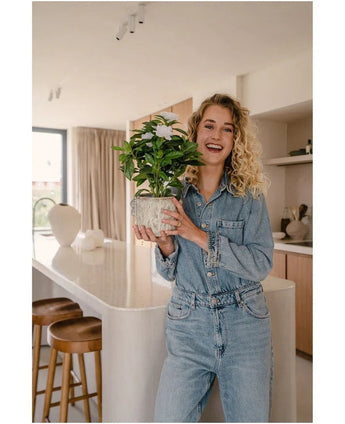 Een glimlachende vrouw in een spijkeroutfit houdt de Kunstplant Gardenia UV 39 cm wit vast in een moderne keuken met houten krukken, witte werkbladen en een neutrale inrichting.