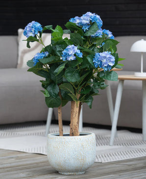 Een Kunstplant Hortensia UV 85 cm blauw met blauwe bloemen en groene bladeren staat op een houten vloer voor een grijze bank en een klein rond tafeltje met een witte lamp.