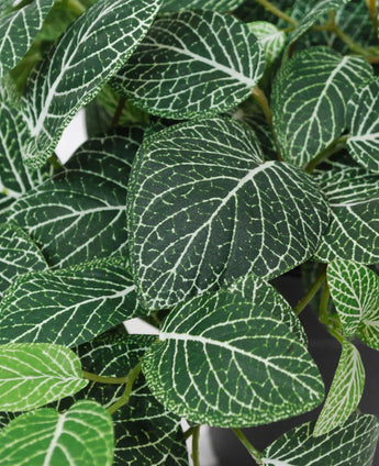 Close-up van de Kunst Hangende Fittonia groen-wit in pot 70 cm UV, met groene bladeren met opvallende witte nerven en gedetailleerde nervenpatronen in verschillende groene tinten.