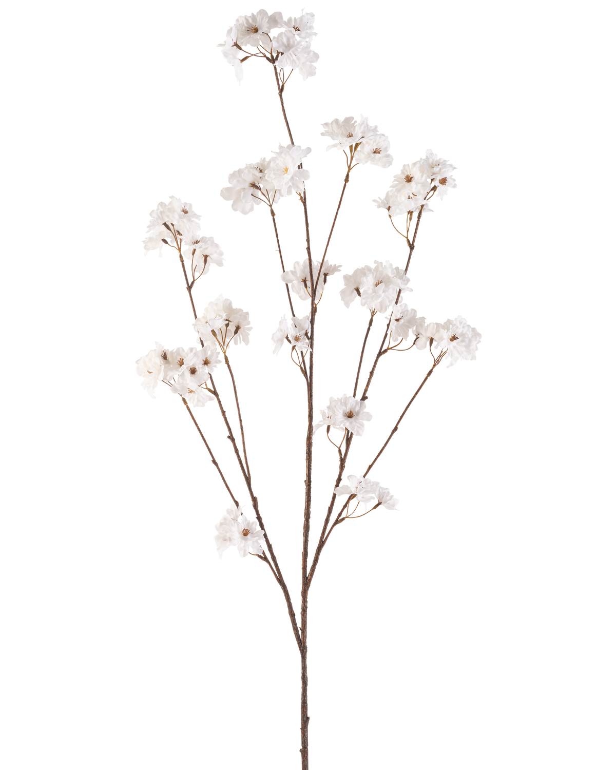 Die cremefarbene Kunstblume Kirschblüte 130 cm hat einen einzelnen braunen Stiel, der sich in mehrere dünne Stiele verzweigt, die jeweils mit Büscheln kleiner, zarter cremefarbener Kirschblütenblüten vor einem schlichten weißen Hintergrund verziert sind.
