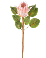 Die künstliche Blume Protea 65 cm rosa ist eine einzelne künstliche rosa Protea-Blume mit großen grünen Blättern und einem langen braunen Stiel vor einem schlichten weißen Hintergrund.