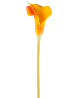 De Kunstbloem Calla 64 cm oranje heeft een enkele oranje calla lelie met een lange, slanke steel, geïsoleerd op een witte achtergrond.