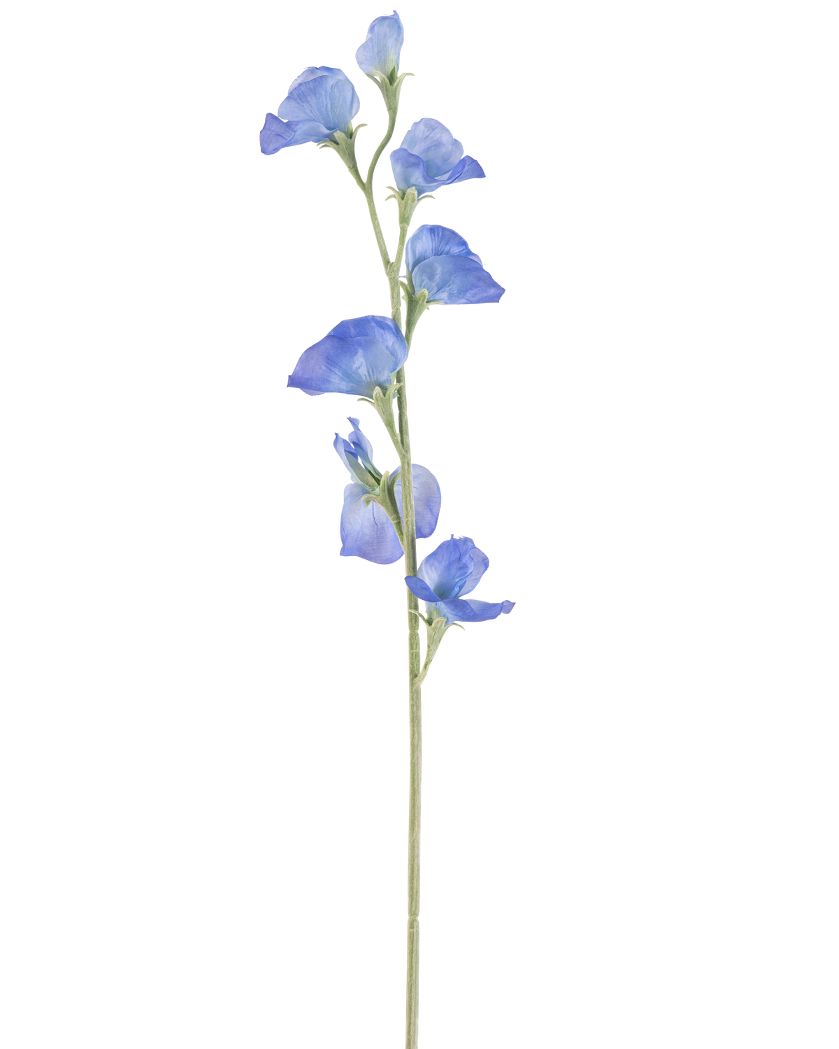 Die künstliche Blumenerbse 64 cm blau hat einen einzelnen schlanken grünen Stiel mit mehreren zarten blauen Blüten und grünen Knospen, die über die gesamte Länge verteilt sind, vor einem schlichten weißen Hintergrund.