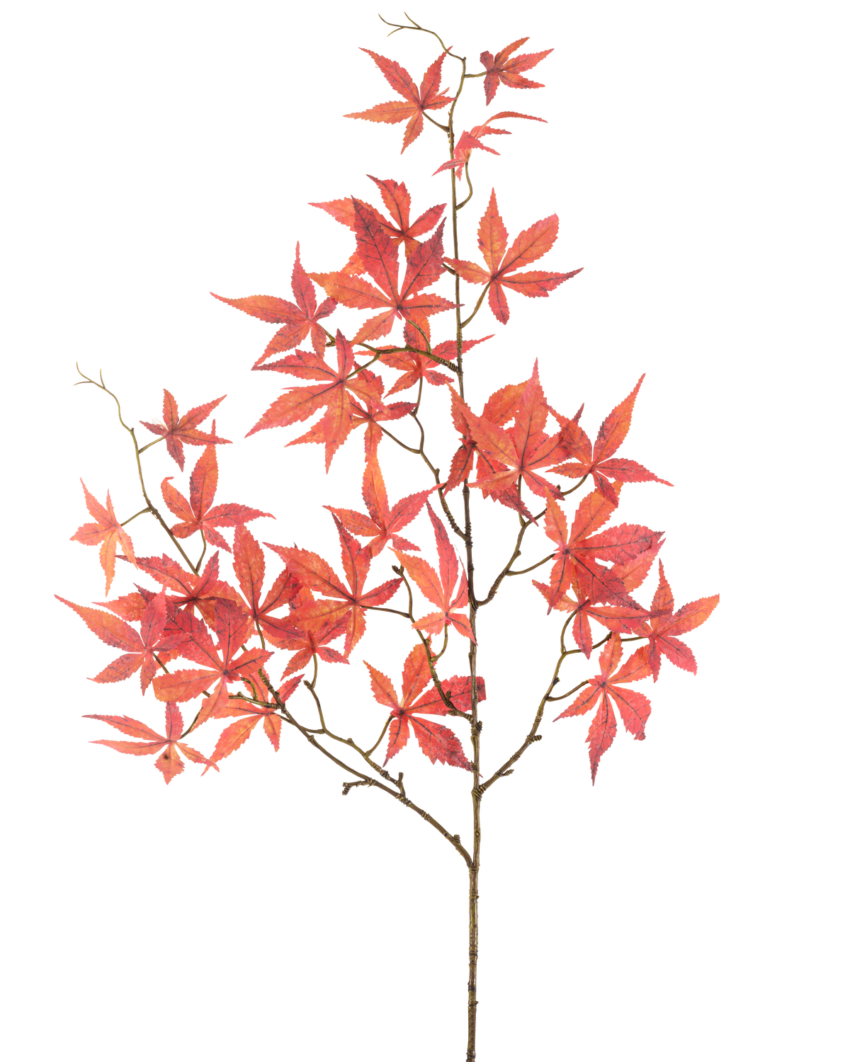 Die künstliche Blume Ahornblatt 109 cm rot hat mehrere dünne Zweige, die mit leuchtend roten, sternförmigen Ahornblättern verziert sind und sich wunderschön vor einem schlichten weißen Hintergrund abheben.