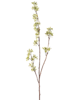 De Kunstbloem Bloemen 102 cm groen heeft een enkele hoge steel met meerdere dunne uitlopers, versierd met trosjes kleine witte en lichtgroene bloemen, tegen een effen witte achtergrond.