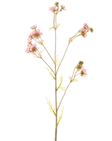 Een Kunstbloem Cosmos 95 cm roze heeft een enkele hoge steel met meerdere dunne takken, elk versierd met trossen tere roze bloemen en lichtgroene bladeren, tegen een effen witte achtergrond.