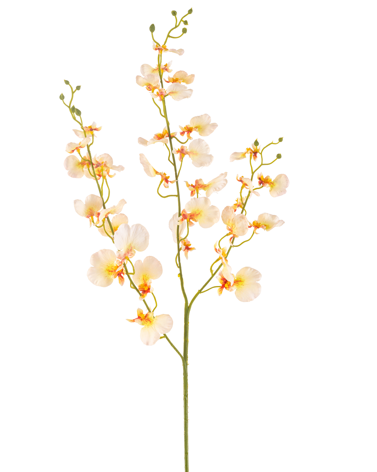 Die künstliche Blumenorchidee 98 cm hellgelb hat einen langen grünen Stiel mit mehreren Zweigen und zarten hellgelben Orchideen, jeweils mit einem zarten orangefarbenen und roten Herzen, alles vor einem weißen Hintergrund.