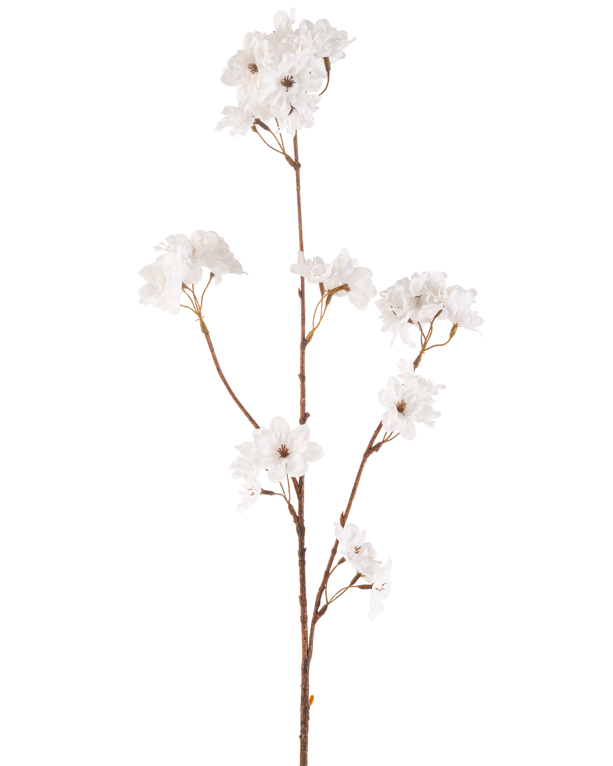 Die 85 cm große cremefarbene Kunstblume Kirschblüte hat einen schlanken braunen Stiel mit mehreren Zweigen, die Büschel zarter cremefarbener künstlicher Kirschblüten halten, alles vor einem schlichten weißen Hintergrund.