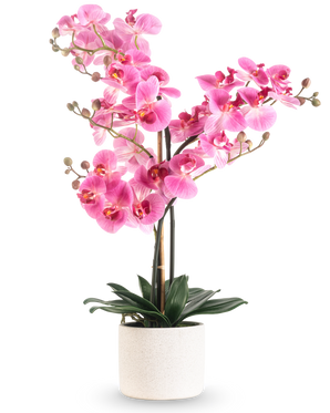 De Kunst Orchidee Real Touch 68 cm roze heeft een levendige roze orchidee met meerdere stelen en groene bladeren in een witte pot van keramiek, tegen een effen witte achtergrond.