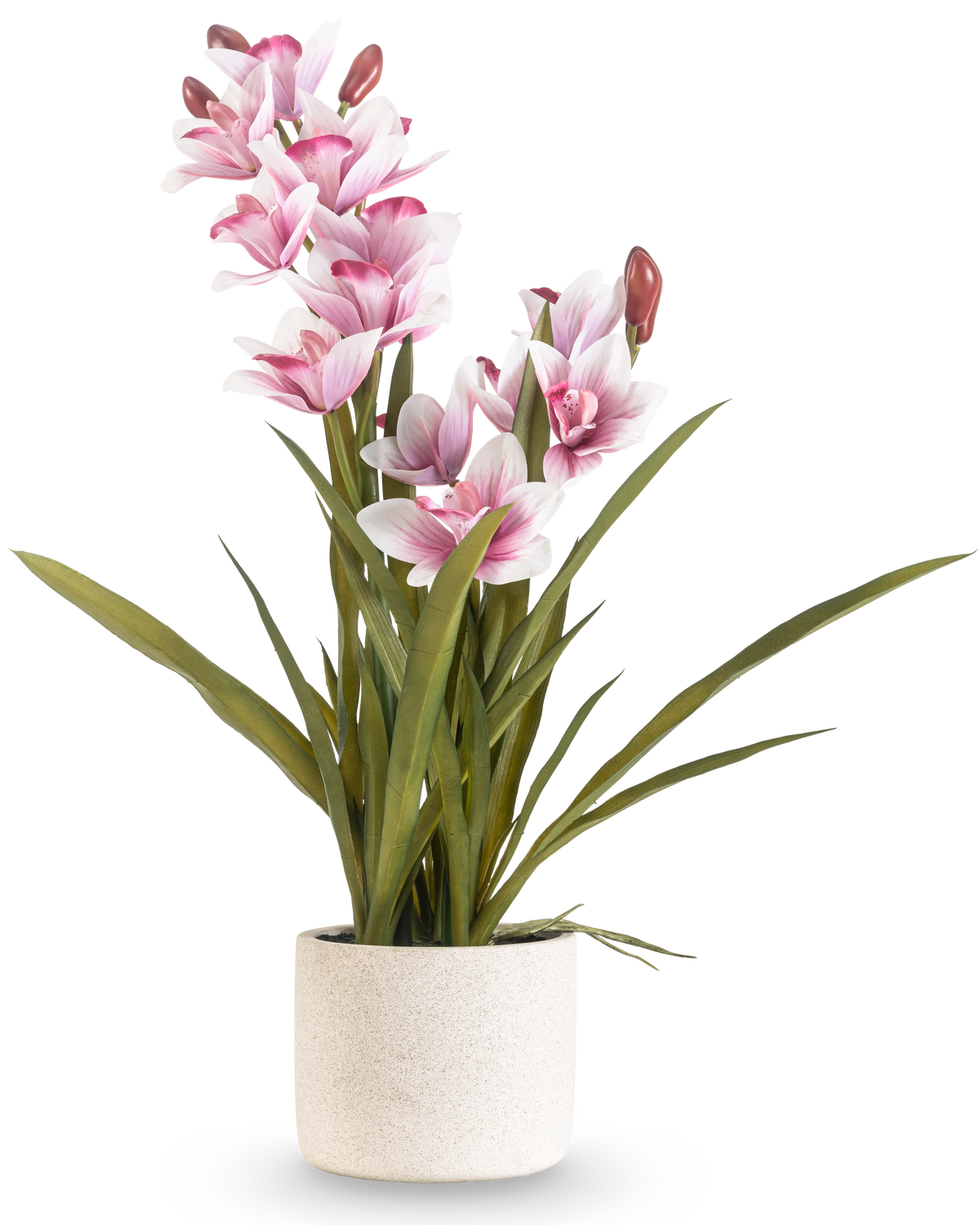 Das künstliche Cymbidium Real Touch 60 cm rosa hat lange grüne Blätter und mehrere rosa und weiße Orchideen an langen Stielen, die in einem schlichten, cremefarbenen, strukturierten Topf vor einem schlichten Hintergrund angeordnet sind.