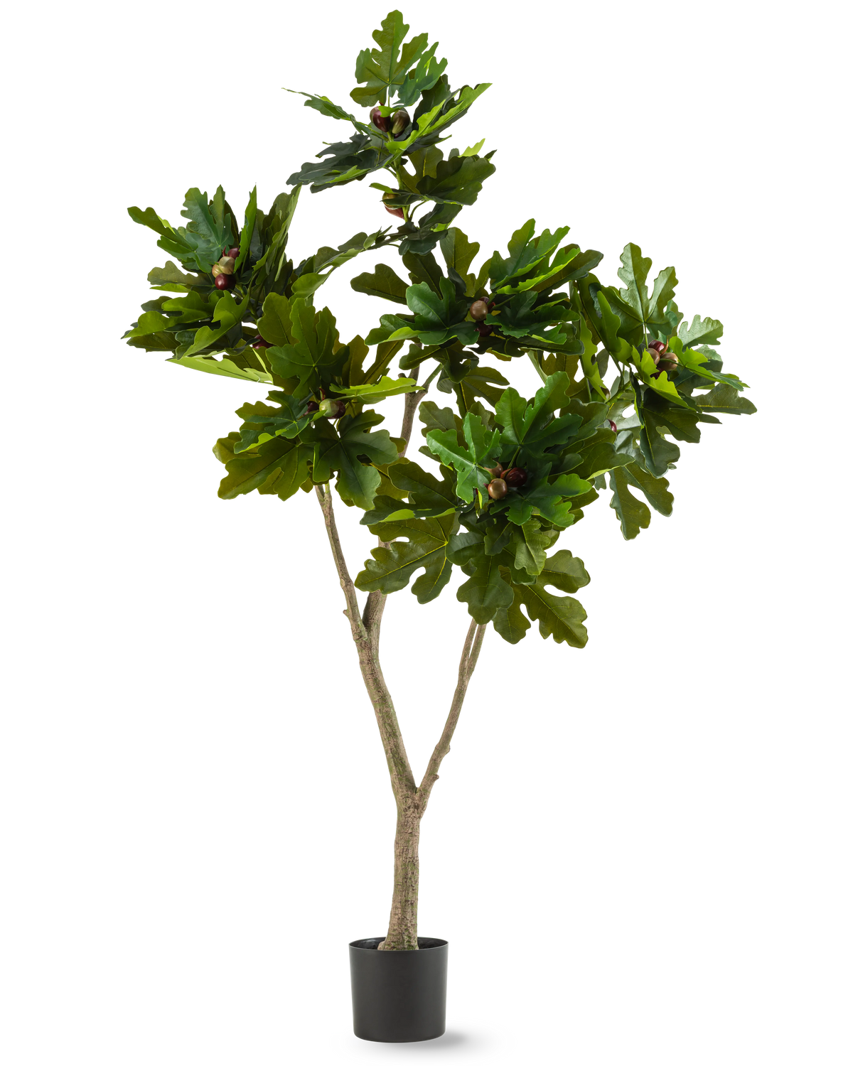 Die Kunstpflanze Ficus Carica Feigenbaum 180 cm ist eine Kunstpflanze in einem Topf mit breiten, glänzend grünen Blättern und kleinen braunen Früchten, die einem Feigenbaum ähneln, vor einem weißen Hintergrund.