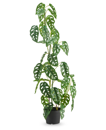 Kunstpflanze Monstera 90 cm grün – Easyplants Deutschland