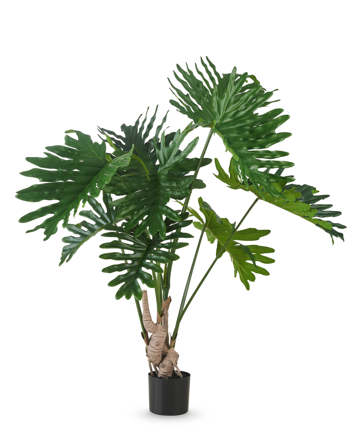 Die Kunstpflanze Philodendron 150 cm hat große, glänzende, tief gelappte grüne Blätter an langen Stielen vor einem schlichten weißen Hintergrund.