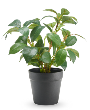 Künstliche Jasminpflanze im Topf 25 cm UV