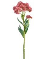 Ein einzelner Stiel der Kunstblume Sedum 57 cm lila zeigt Büschel kleiner, sternförmiger lila Blüten und grüner Blätter, die vor einem weißen Hintergrund dargestellt sind.