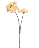 Twee hoge Kunstbloem Sedums van 70 cm met cremekleurige stelen met groenbruine stengels en trossen cremekleurige, stekelige pomponbloemen worden getoond tegen een effen witte achtergrond.