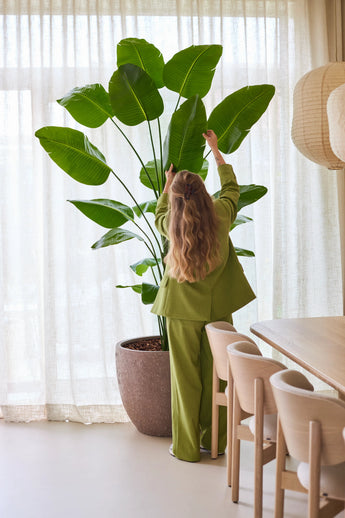 Een persoon met lang, golvend haar, gekleed in een groen pak, staat binnenshuis en reikt omhoog om de grote bladeren van de Kunstplant Strelitzia 240 cm real touch bij te stellen, die staat opgesteld naast een eettafel met houten stoelen en doorschijnende gordijnen op de achtergrond.