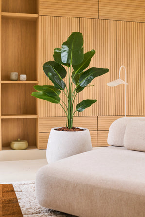 Möchten Sie künstliche Strelitzien kaufen? Die beste Qualität bei Easyplants! – Easyplants Deutschland