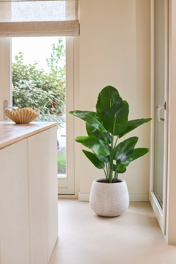 Een Kunstplant Strelitzia Real Touch Deluxe van 120 cm in weelderig groen staat op een lichte vloer naast een glazen deur in een lichte, moderne kamer met neutrale muren en een houten toonbank.
