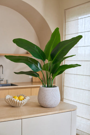 Een Kunstplant Strelitzia Real Touch Deluxe van 90 cm, met levensechte groene bladeren, staat op een lichtgekleurd aanrecht naast een decoratieve schaal met citroenen. Op de achtergrond zijn een gootsteen, planken en een groot raam met vitrages te zien. Deze kunstplant van 90 cm geeft de ruimte een levendige, natuurlijke uitstraling.