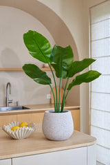 De Kunstplant Strelitzia Nicolai Deluxe 90 cm met zijn grote groene bladeren staat op een lichtgekleurd keukenblad naast een golvende schaal vol gele citroenen, wat een tropische sfeer in de ruimte brengt. Op de achtergrond maken een gootsteen en een minimalistische inrichting het geheel compleet.