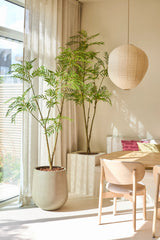 Een lichte eethoek met de Kunstplant Mahonia 210 cm, een grote potplant, een houten tafel en stoelen, een papieren lantaarn en doorschijnende gordijnen die natuurlijk zonlicht binnenlaten. Op een ingebouwde bank liggen roze kussens.