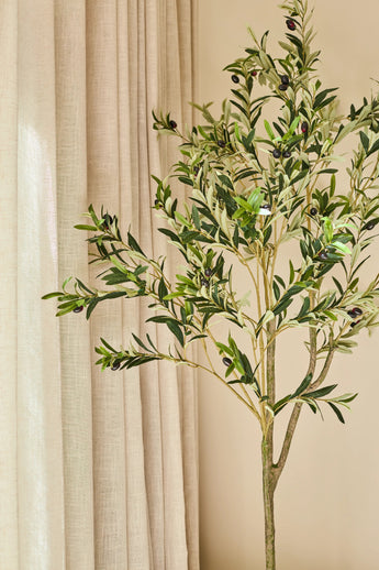 De Kunst Olijfboom van 180 cm, met weelderig groen blad en realistische zwarte olijven, staat voor beige gordijnen en een neutraalgekleurde muur. Zonlicht verlicht het tafereel zachtjes en geeft de ruimte een vleugje mediterrane stijl.