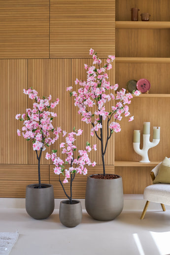 Drie Kunst Kersenbloesem-kunstmatige kersenbloesemboompjes van 180 cm in een roze pot, met roze bloemen, vervaardigd uit hoogwaardige zijden kersenbloesem, staan voor een houten wand met ingebouwde planken, naast een crèmekleurige stoel en decoratieve voorwerpen.