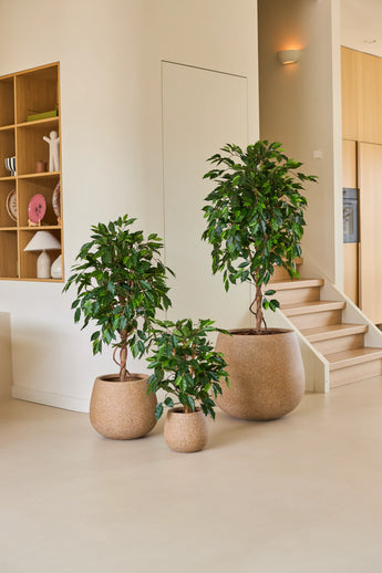 Drei Zimmerpflanzen in unterschiedlich großen Töpfen, darunter die Kunstpflanze Ficus Green 90 cm, sind auf einem hellen Boden in der Nähe einer Treppe arrangiert, mit Holzregalen und Wohnaccessoires im Hintergrund – eine ideale Anordnung von Büropflanzen für jeden modernen Arbeitsplatz.