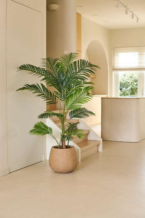 Eine 160 cm große Kunstpflanze Phoenix steht auf einem hellen Boden in einem modernen, minimalistischen Raum mit sanftem natürlichem Licht, geschwungenen Architekturelementen und neutralen Farbtönen – eine mühelose Innenaufwertung, die den Charme tropischer Pflanzen ins Haus bringt.
