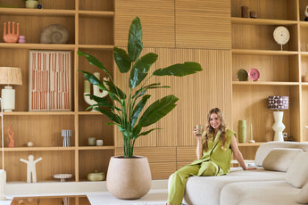 Een vrouw in een groene outfit zit op een beige bank met een drankje in haar hand, met de Kunstplant Strelitzia Nicolai Deluxe 210 cm naast haar en houten planken met decoratieve voorwerpen op de achtergrond.