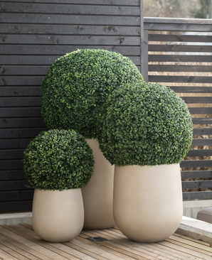 Kunstpflanzen für draußenKunstpflanzen für draußen kaufen? Einfache Pflanzen – Easyplants Deutschland