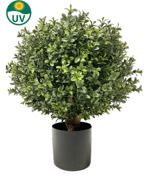 De Kunst Buxus op stam d30 cm is een ronde, weelderig groene kunstplant met dichte bladeren in een effen zwarte pot, afgebeeld op een witte achtergrond. In de linkerbovenhoek bevindt zich een UV-label met een zonnepictogram.