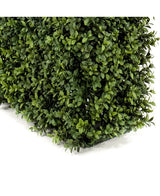 Kunst Buxushaag UV 100x20x50 cm haagpaneel met kleine, glanzend groene bladeren is afgebeeld op een witte achtergrond.
