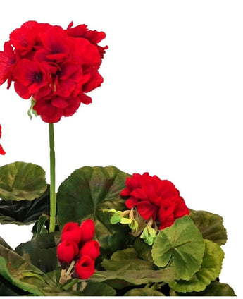 De Kunst Geranium 40 cm rood heeft helderrode kunstbloemen met weelderige groene ronde bladeren tegen een witte achtergrond - ideale kunstplanten om levendige kleur toe te voegen aan je interieur.