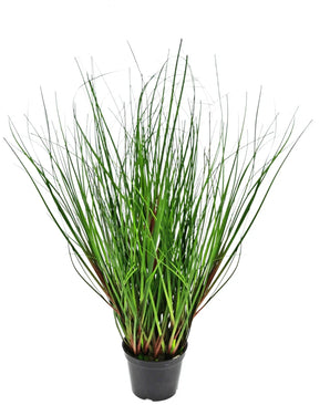 De Kunst Grasplant Ui 50 cm brandvertragend is een hoge, bossige kunstgrasplant met lange, dunne groene bladeren en roodachtige basen in een zwarte plastic pot, die zich in alle richtingen verspreidt tegen een witte achtergrond.