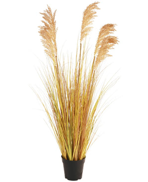 De Kunst Grasplant Sorghum 110 cm brandvertragend heeft lange, geelgroene sprieten en vederlichte gouden pluimen in een kleine zwarte pot - ideaal voor het toevoegen van een Boho interieur touch aan elke ruimte.