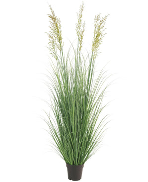 De Kunst Grasplant Tarwe 150 cm brandvertragend heeft lange, groene bladeren en lange stengels met geelachtige pluimen in een zwarte pot - ideaal als tuindecoratie en als onderhoudsvrije plant voor elke ruimte.