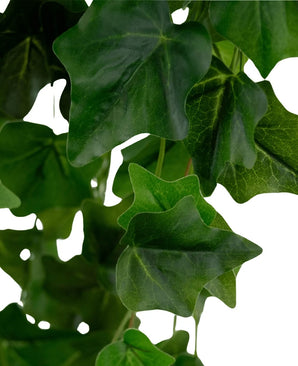 Möchten Sie künstlichen Efeu kaufen? Künstliche Hedera von – Easyplants Deutschland