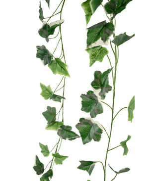 Möchten Sie künstlichen Efeu kaufen? Künstliche Hedera von – Easyplants Deutschland