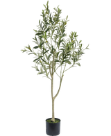 Der künstliche Olivenbaum 120 cm hat schlanke Zweige und grüne Blätter in einem schlichten schwarzen Topf, ideal als Dekoelement für eine mediterrane Atmosphäre auf weißem Hintergrund.