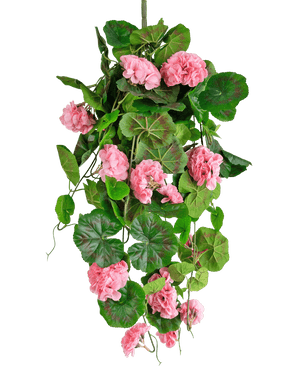 Die künstliche Hängepflanze Geranie 75 cm rosa hat künstliche grüne Blätter und rosa Geranienblüten, die herunterfallen, perfekt als hängende Dekoration vor einem weißen Hintergrund.