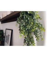 Een close-up van de Kunst hangplant Pannenkoek 61 cm met groene bladranken hangend aan een donkere houten plank, omlijst door een zwart-witte architectuurtekening tegen een witte muur op de achtergrond.