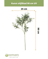 Kunst olijfblad 90 cm UV van EasyPlants, 90 cm hoog en 25 cm breed. Dit UV-bestendige kunstblad brengt een blijvende mediterrane sfeer in je ruimte met zijn levendige groene bladeren.