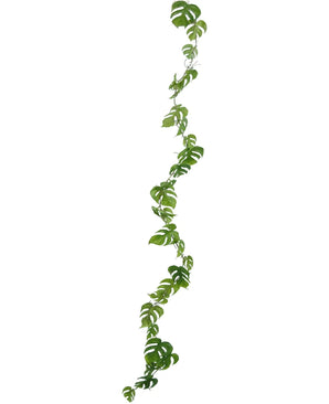 De Kunst slingerplant Monstera 182 cm is een lange, slingerende kunstliaan met groene bladeren met meerdere ovaalvormige gaten, geïsoleerd afgebeeld op een witte achtergrond.